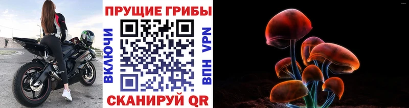 Псилоцибиновые грибы мухоморы  Мценск 